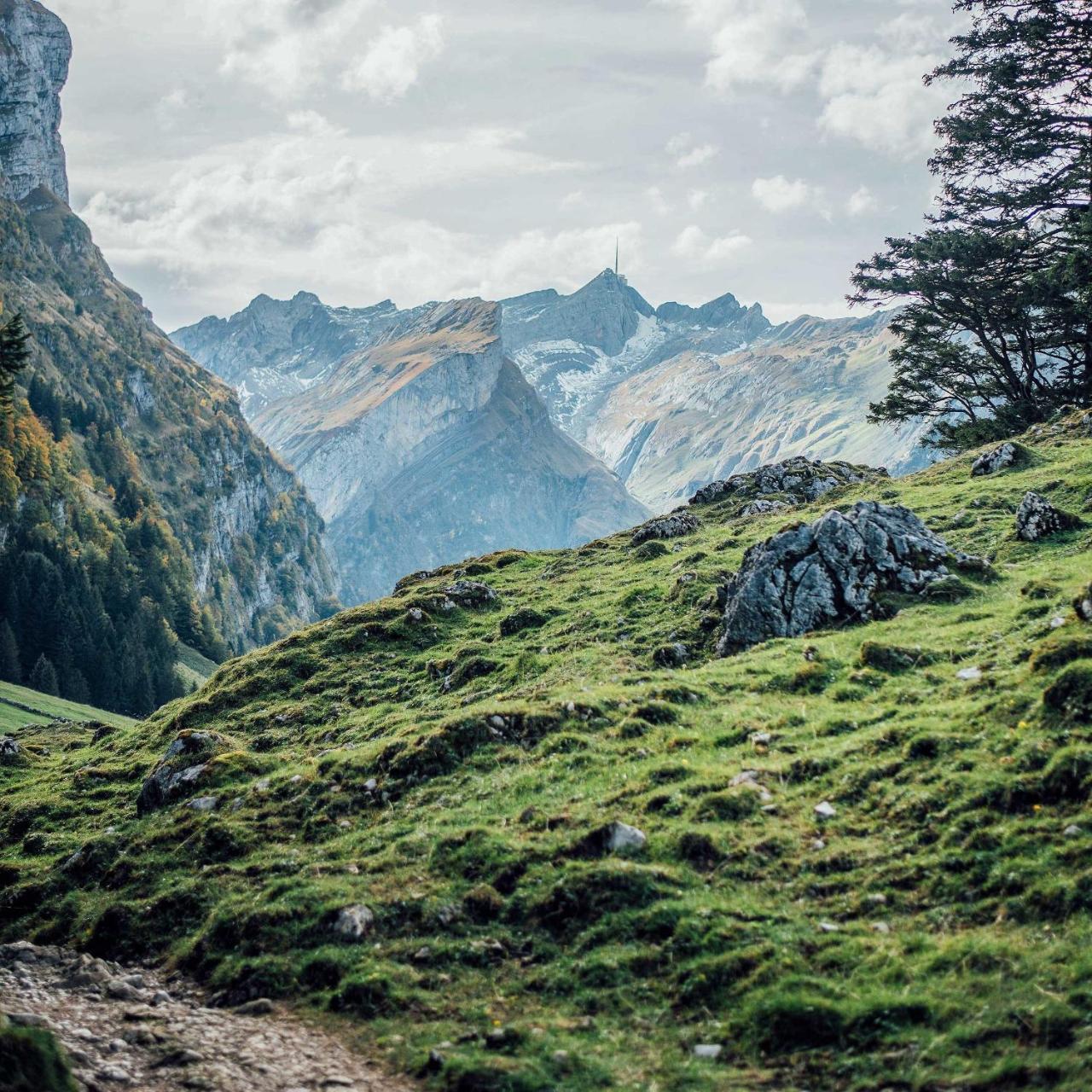 Neuhof Gäste-& Schokohaus Appenzell Exterior foto